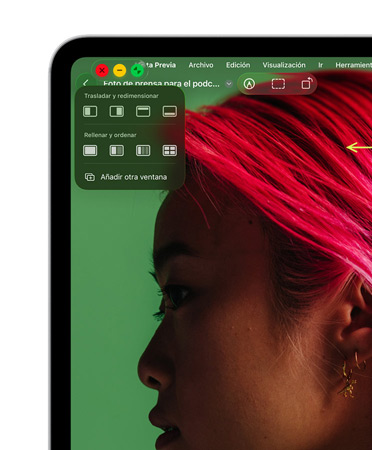 Controles de ventana, con botón rojo para cerrar, botón amarillo para minimizar y botón verde para ampliar, además de opciones para mover, organizar o cambiar el tamaño de las ventanas