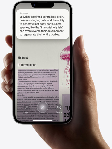 Une main tient un iPhone 16e affichant les résultats d’une recherche effectuée à l’aide de l’intelligence visuelle.
