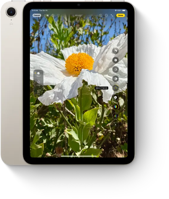 iPad mini shown in portrait view displaying the Photos app.