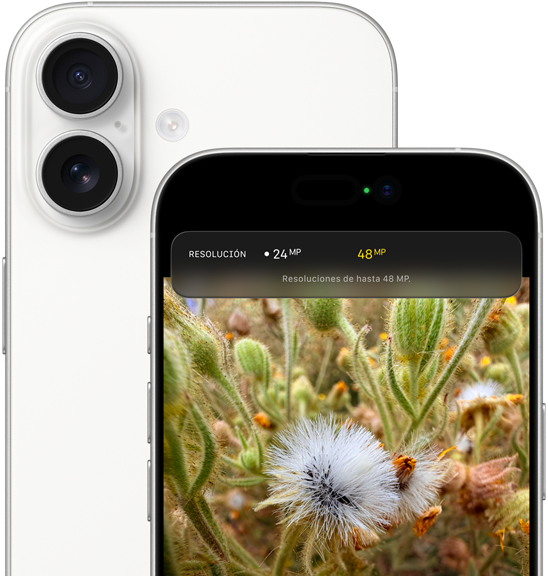 Selfie grupal con la funcionalidad Encuadre Centrado para fotos