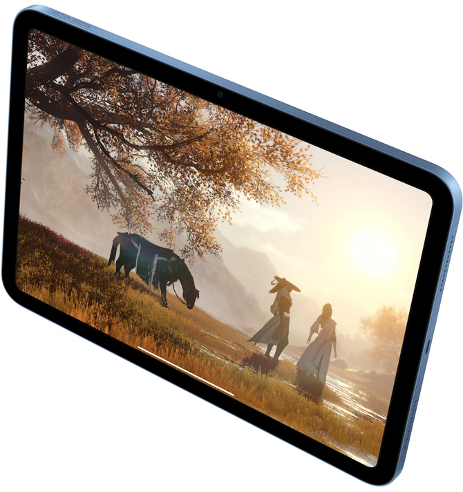 iPad 上的《逆水寒》遊戲畫面。