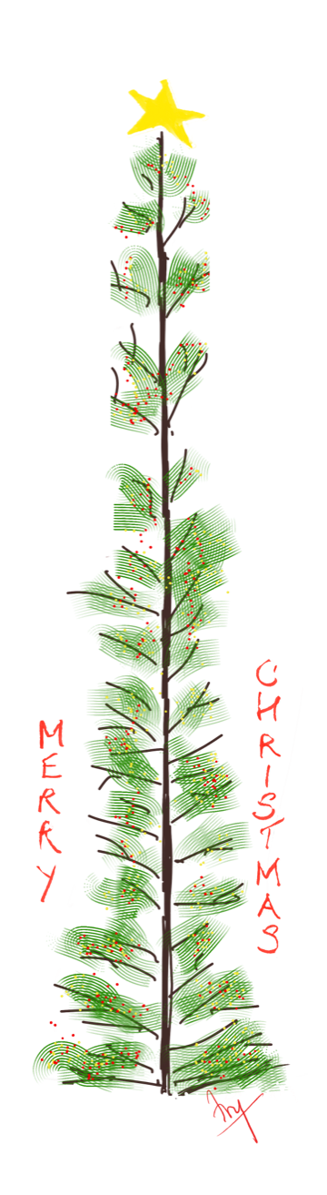 A delicate tree with a long black spine, green needles, upward-pointing branches and a twinkly yellow star.