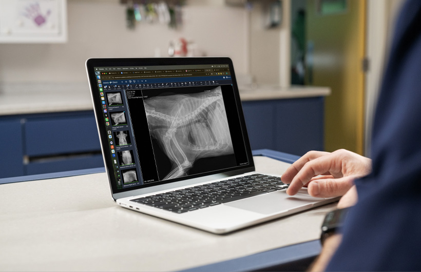 Las radiografías y ecografías detalladas se muestran en tiempo real en el MacBook Air.