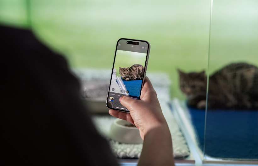 Los enfermeros usan el iPhone para enviar fotos de las mascotas con regularidad, lo que tranquiliza aún más a los dueños.