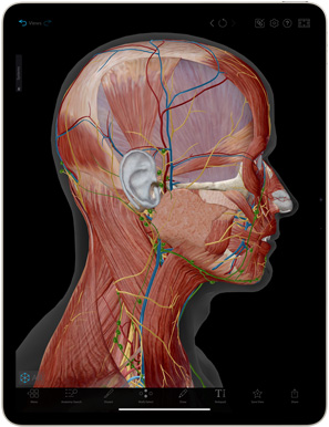 App Human Anatomy Atlas en un iPad Air