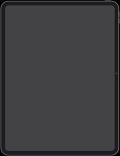 Pantalla del iPad Pro