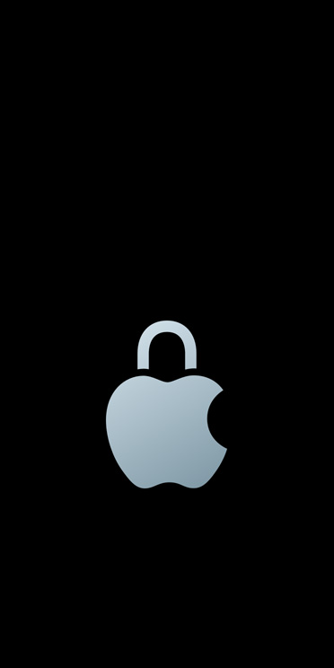 Logo de privacidad de Apple.