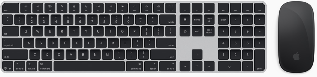 Mặt trên của Magic Keyboard và Magic Mouse